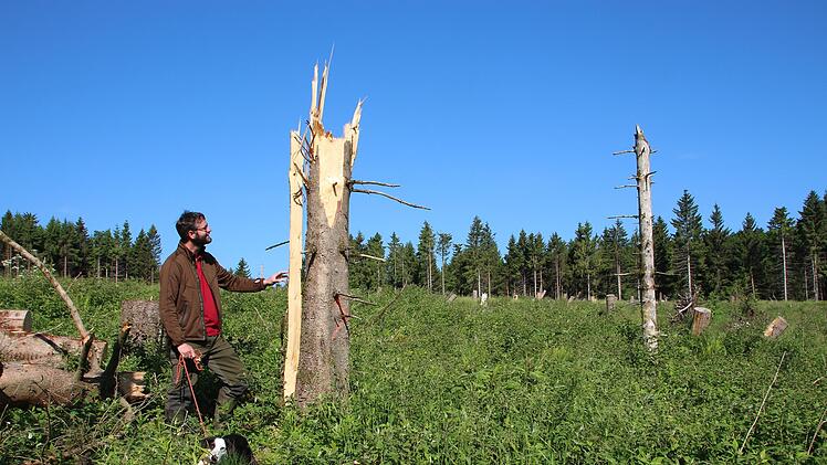 Philipp Bausch inspiziert einen abgebrochenen Baum. Foto: Johannes Schlereth