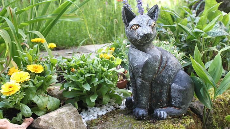 Foto: Veronika Schadeck