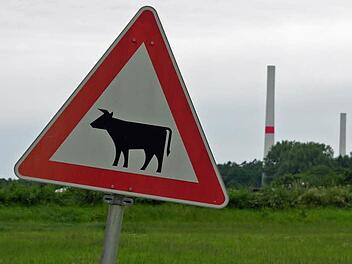 Am Rand von Zedersdorf beherrschten bislang Landwirtschaft, Natur und Tierwelt das Bild. Jetzt wachsen auf dem nördlich gelegenen Höhenzug die Masten für Stromerzeugung durch Windkraft. Foto: Klaus Oelzner