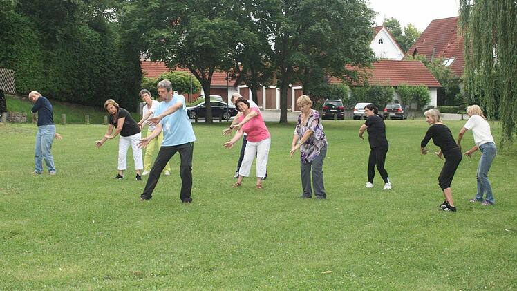 Im Park erlebten Herzogenauracher Qi Gong. Millionen Chinesen treffen sich auch jeden Tag, um dessen heilende Wirkung zu spüren. Foto: D. Weiler