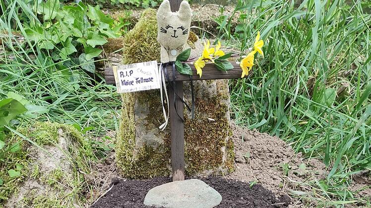 Ludwigschorgast: Erst wird sein Kater überfahren - dann passiert Mann (63) ein Unfall