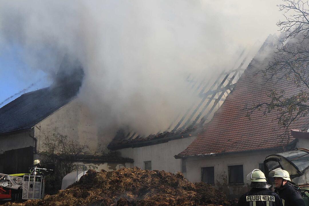 Brand in Schweinestall in Herzogenaurach