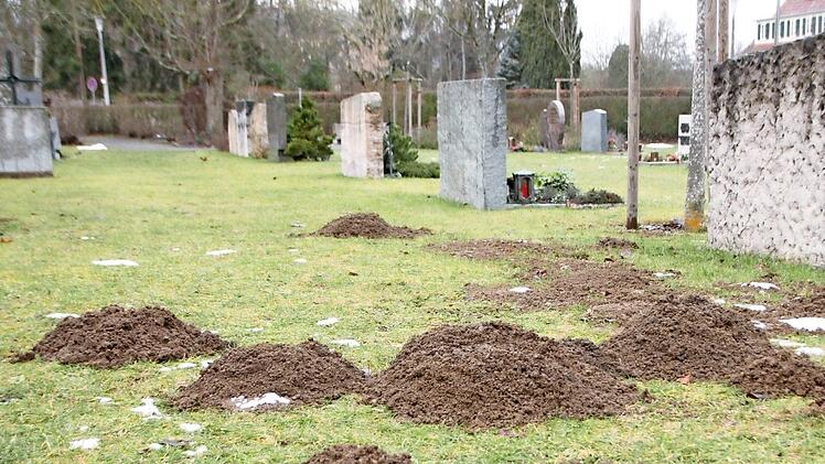 Ein Maulwurf macht sich im Friedhof breit.