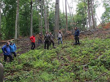 Einige Bürgern und Sulzthaler mahnen zum Umdenken in der Waldwirtschaft. Unser Archivfoto zeigt den Waldbegang, der in diesem Jahr stattfand. Foto: Hilmar Ruppert
