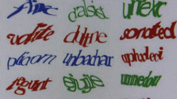 So sehen "Captchas" aus. Foto: Screenshot Google