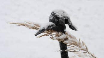 WInter in Baunach. Foto: Anna Püls