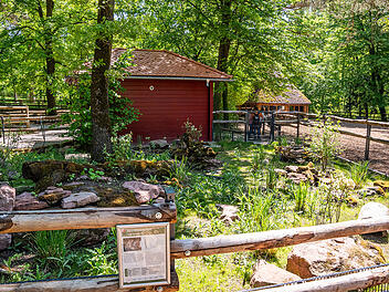 Tiergarten Nürnberg präsentiert neue Anlage - Zoo mit wichtigem Appell Tiergarten Nürnberg präsentiert neue Anlage - Zoo mit wichtigem Appell