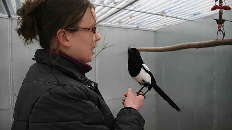Sabine Witt will nicht sich, sondern die Tiere in den Mittelpunkt stellen. Der Betrieb der Wildtierauffangstation geht weiter.