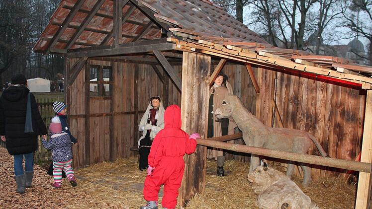 Foto: Herbert Fischer