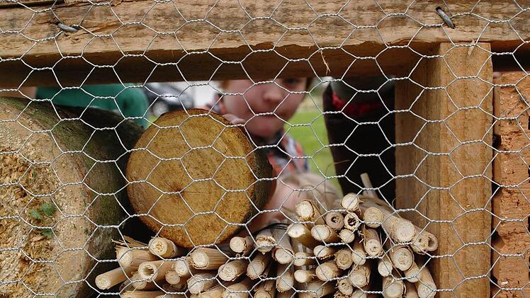 Vanessa befüllt das Insektenhotel auf dem Dorfplatz in Motten.