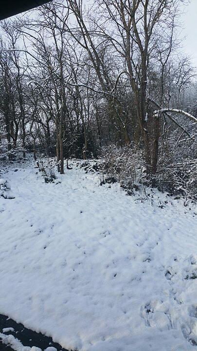 Schnee und Eis - Die schönsten Aufnahmen aus Franken