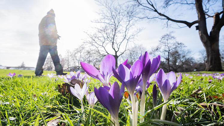 Fr&uuml;hlingshafte Temperaturen am Wochenende in Bayern
