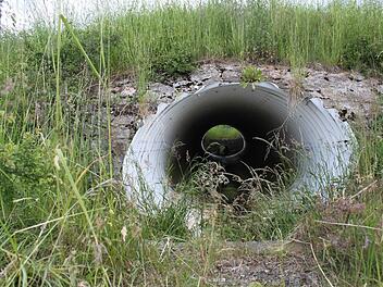 Durch diesen Wasserdurchlass unter der B 286 schoss vor einer Woche bei den starke Regenfällen so viel Wasser, dass der anschließende Graben mit der Ableitung überfordert war und ein etwas tiefer liegender Kfz-Betrieb geflutet wurde. Foto: Thomas Ahnert