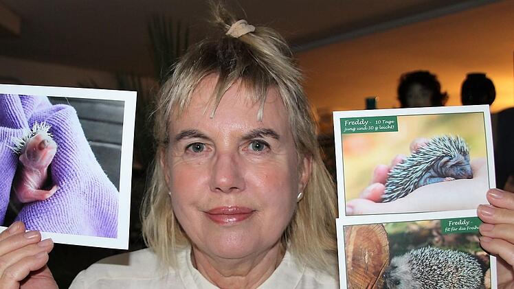 15 Gramm wog das noch blinde Waisenkind "Freddy", als Marion Hymon-Löffler es aufnahm. Dank der guten Pflege ist "Freddy" heute ein gestandener Igelmann, gesund und fit für den Winterschlaf.  Fotos: Diana Fuchs