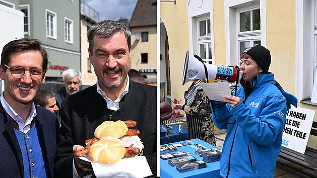 SplitImage 1748090735