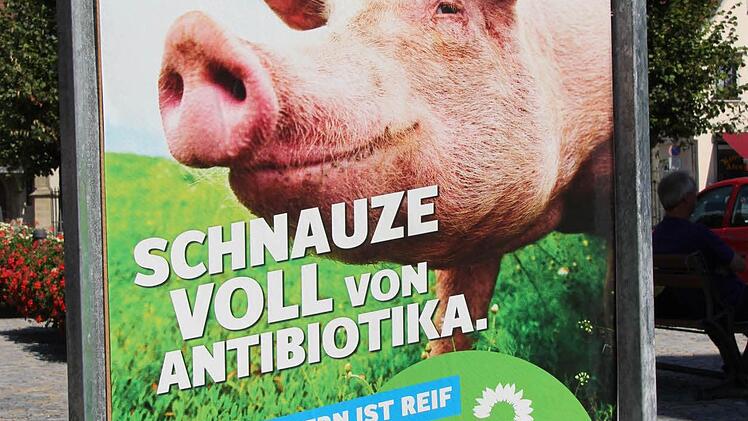 Auf Du und Du mit dem Wähler sind die Grünen. Ein Schwein protestiert gegen Massentierhaltung.