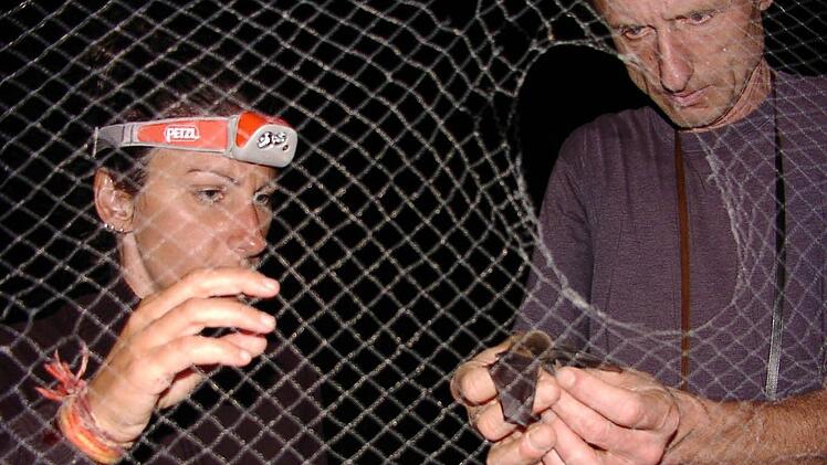 Dipl.-Biol. Dr. Carmen Fuertes und Ulrich Rudolph, Landesamt für Umwelt Augsburg, entnehmen eine gefangene Fledermäuse vorsichtig dem Netz. Foto: Jürgen Gerdes