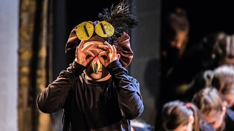 "Compose Janácek": Schüler aus Neustadt und Coburg präsentierten ihre Version der Oper "Das schlaue Füchslein" im Landestheater. Foto: Jochen Berger