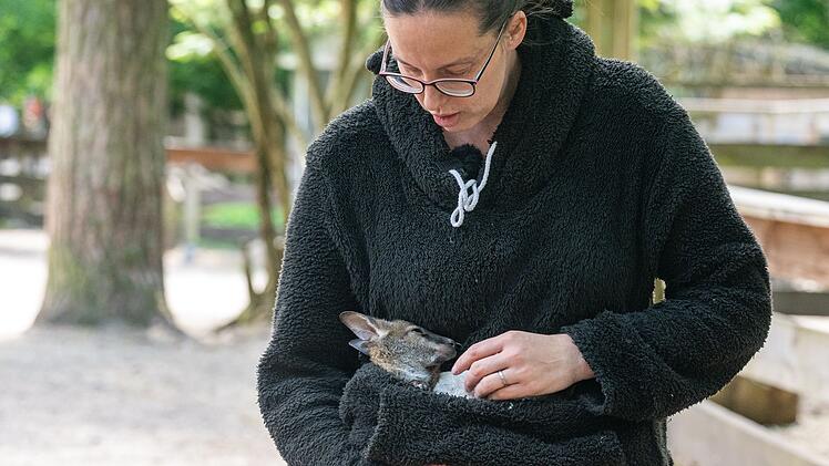 Tierpark-Chefin zieht K&auml;nguru-Baby im Pulli auf
