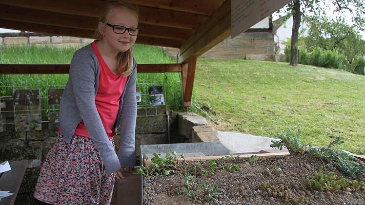 Leni Fischer schaut sich ein begrüntes Dach an. Foto: Sonja Adam