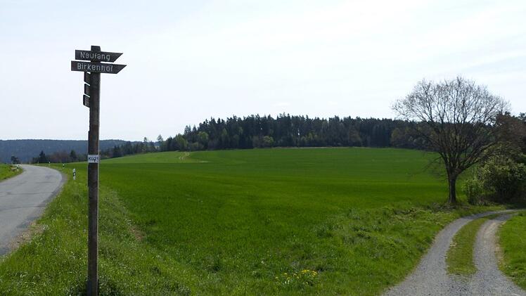 Auf dieser Fläche soll hinauf bis zum Waldrand eine circa 13 Hektar große Kollektorfläche entstehen.