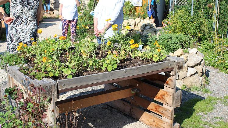 Im Herzo-Garten geht es um Nachhaltigkeit und Inklusion. An einem unterfahrbaren Hochbeet können Rollstuhlfahrer gärtnern.    Foto: Verena Stephan