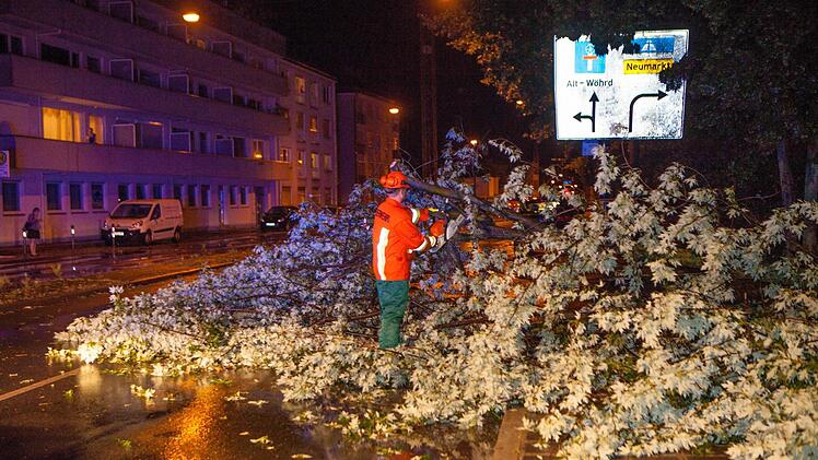 Foto: News5 / Grundmann