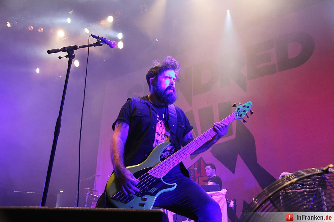 RIP15 - Skindred