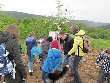 Die Umweltfrösche der GS Weißenbrunn säen eine Blühwiese an und pflanzen Apfelbäume.  Foto: K.- H. Hofmann