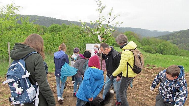 Die Umweltfrösche der GS Weißenbrunn säen eine Blühwiese an und pflanzen Apfelbäume.  Foto: K.- H. Hofmann