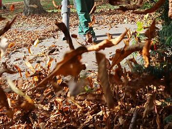 Foto: Barbara Herbst