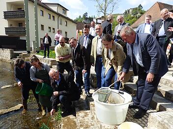 Bezirkstagspräsident Günther Denzler (mit Käscher) setzt im Beisein von zahlreichen Bürgermeistern aus der Fränkischen Schweiz und Verbands- sowie Behördenvertretern einige der rund 5000 Bachforellensetzlinge in die Püttlach in Pottenstein ein. Foto: Thomas Weichert
