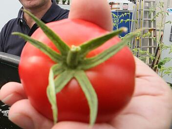 Symbolbild Foto: dpa