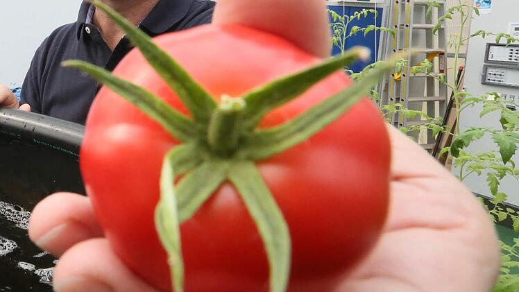 Symbolbild Foto: dpa
