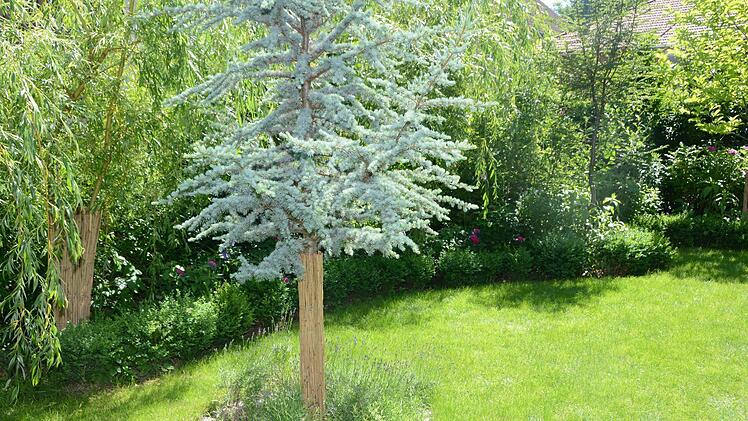 Impressionen aus dem Garten Michaelis in Schirradorf Foto: Dagmar Besand