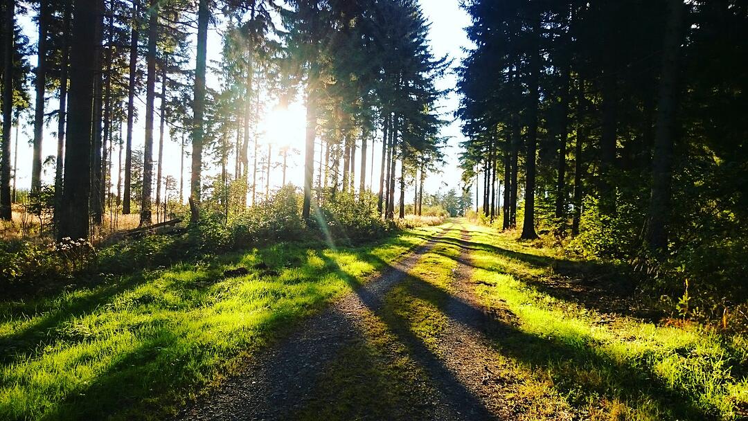 Urlaub in Franken: Rhön im Sommer