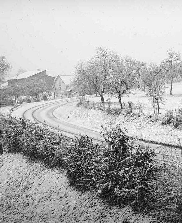 Leserbilder: Der erste Schnee in Franken
