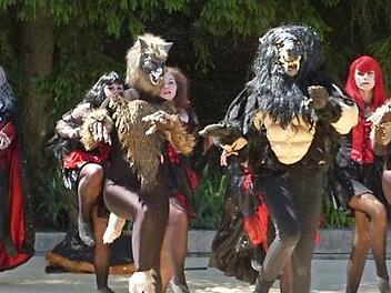 Wild und rassig war die Darbietung der Tanzgruppe "Maniax" beim Sommerfest des Awo-Wohn- und Pflegeheims in Marienweiher. Foto: Klaus-Peter Wulf