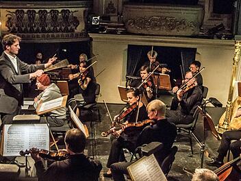 Unter der umsichtigen Leitung von Dominik Tremel spielte das Philharmonische Orchester des Landestheaters das musikalische Märchen "Babar der Elefant" von Francis Poulenc. Foto: Jochen Berger