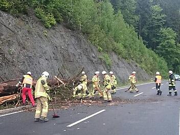 Auf der B 85 mussten die Feuerwehren am Freitagabend die Straße an gleich zwei Stellen von umgeknickten Bäumen befreien.  Fotos: Feuerwehr Ludwigsstadt