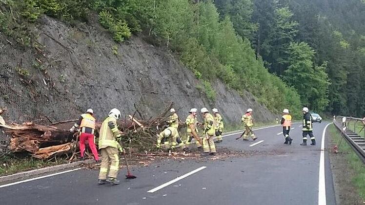 Auf der B 85 mussten die Feuerwehren am Freitagabend die Straße an gleich zwei Stellen von umgeknickten Bäumen befreien.  Fotos: Feuerwehr Ludwigsstadt