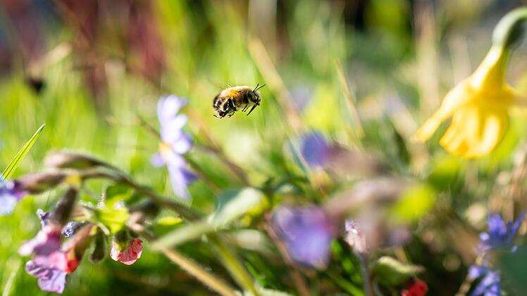&laquo;Auf jeden Fall geh&ouml;rt das Wort Unkraut gestrichen&raquo;
