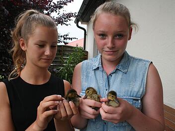 Die kleinen Enten fühlen sich bei Denise und Sophia wohl. Foto: Evi Seeger