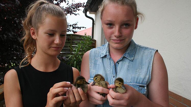 Die kleinen Enten fühlen sich bei Denise und Sophia wohl. Foto: Evi Seeger