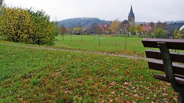 Der Hochwasserschutz in Wiesen gen&uuml;gt nicht mehr den Anforderungen der Zeit. Nach dem grunds&auml;tzlichen Stadtratsbeschluss gab nun auch der Bauausschuss gr&uuml;nes Licht f&uuml;r die geplante Modernisierung mit Spundwand und Deichhinterweg. Foto: Mario Deller