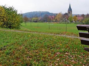 Der Hochwasserschutz in Wiesen genügt nicht mehr den Anforderungen der Zeit. Nach dem grundsätzlichen Stadtratsbeschluss gab nun auch der Bauausschuss grünes Licht für die geplante Modernisierung mit Spundwand und Deichhinterweg. Foto: Mario Deller