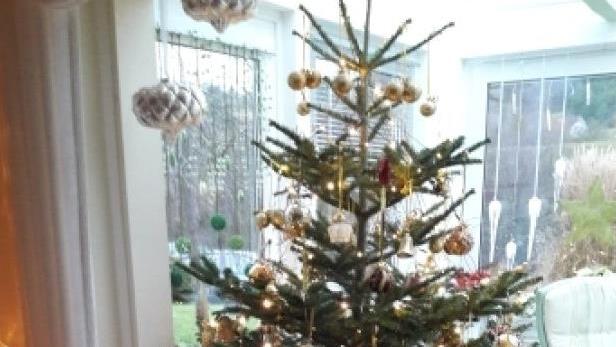 Christine Schmidt: "Der schönste goldene Baum in Forstlahm. Wunderbar geschmückt von meinen Eltern."
