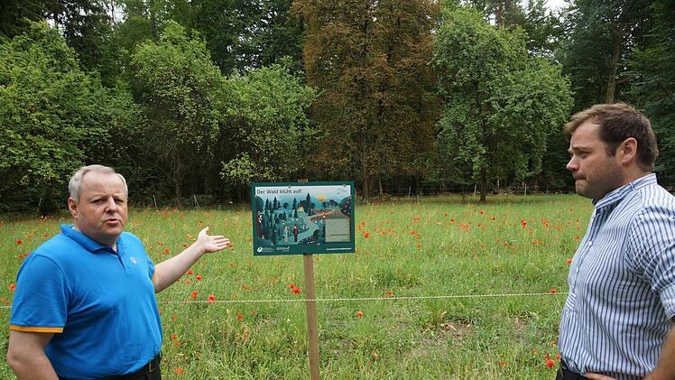 Daniel Zippert, Leiter des Forstbetriebs, und Revierleiter Thomas Fikar stellen die Naturschutzmaßnahme vor. Foto: Arkadius Guzy