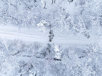 Akute Schneebruchgefahr in Franken