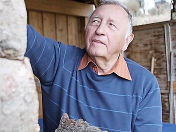 Brennholz machen - dafür hat Heinz Burges endlich Zeit, seitdem er in Ruhestand ist. Foto: Archiv/Matthias Beetz †